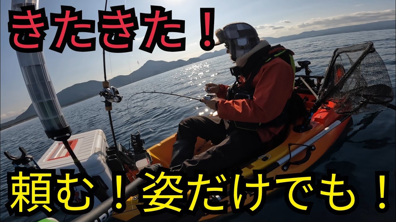 静岡海釣り遠征！春の気配🌸2026/03/12