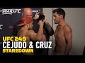 UFC 249: Henry Cejudo Brings Props for Dominick Cruz Staredown - MMA Fighting