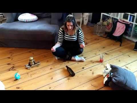 DivaKollektiv auf dem Apen Air 2018 Teaser