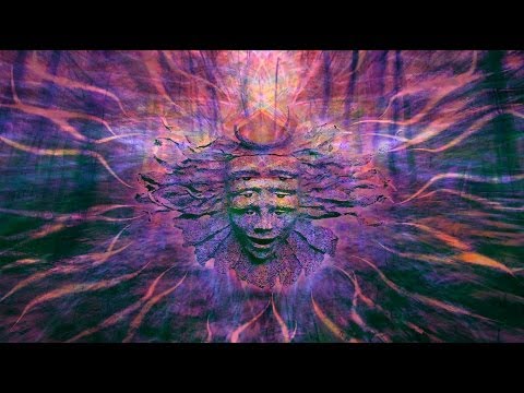 Shpongle - A New Way to Say 'Hooray!' [Music Video]