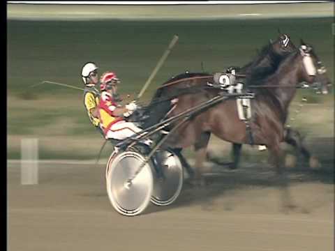 Trotto 24/06/2017 - 5ª corsa