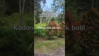 Download lagu Kadang Kami Naik Babi #status #statusharian #storywa #quotes #fypシ゚viral #fyp mp3 Download lagu Kadang Kami Naik Babi #status #statusharian #storywa #quotes #fypシ゚viral #fyp mp3