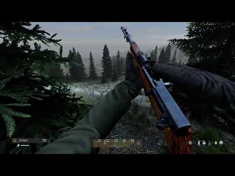 Is it ghosts? Schizophrenia? No, it's ALIENS in DayZ Namalsk