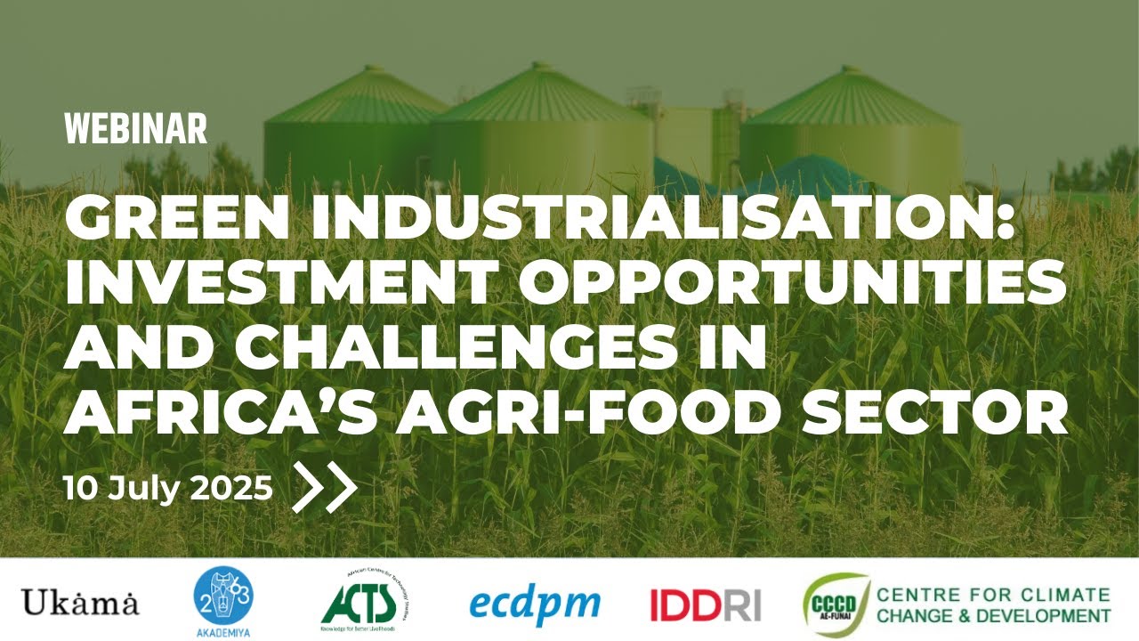 Green industrialisation investment opportunities and challenges in the agri-food sector in Africa