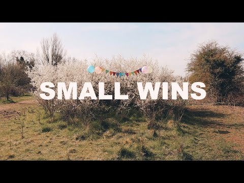 Small Wins - Dekker