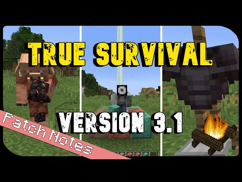 Minecraft TRUE SURVIVAL MODE 3.1.0 (Patch Notes 06)