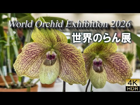 World Orchid Exhibition 2026 . Exquisite Orchids from Around the World in Japan’s Midwinter.