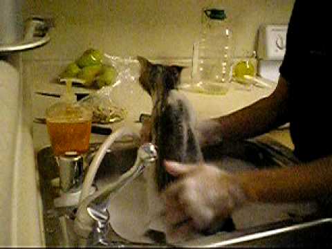 Shabnam's  Relaxing Bath