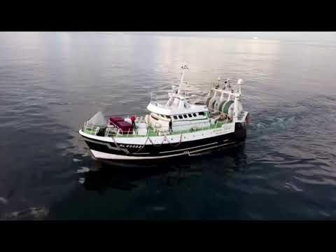 EUと英国の協議で漁業をめぐる溝が狭まる (Rifts over fishing narrow in EU-UK talks)