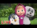 LIVE STREAM Masha And The Bear ‍ ️ Friends Forever