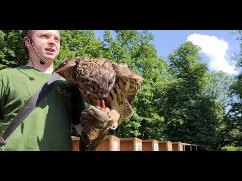 Obora Žleby 27.6.2020