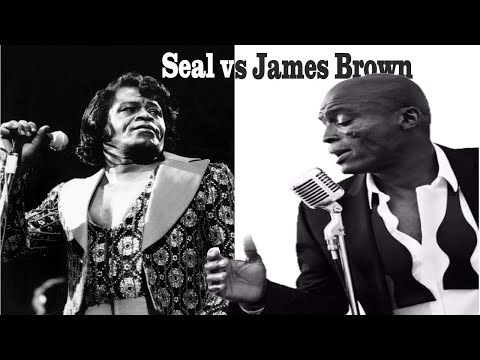 Seal vs James Brown - Crazy Sex Machine - Mashup