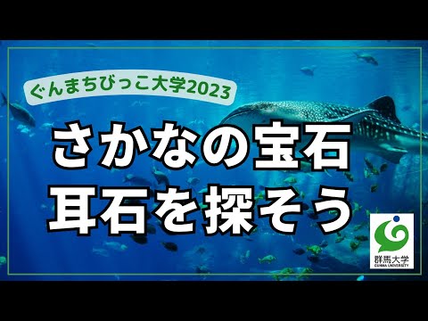 3 さかなの宝石！耳石をさがそう！