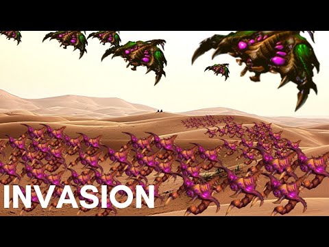 BROODLORD ENJOYMENT VS TYCHUS - Weekly Brawl [Starcraft 2 Direct Strike]