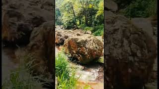 Download lagu Curug Cigamea !! Curug cigamea wisata alam.#Shorts mp3