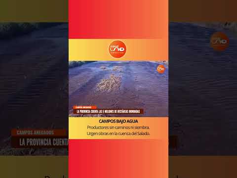 🚨 5 millones de hectáreas inundadas en PBA.  #canalunoolavarria #olavarria #noticias