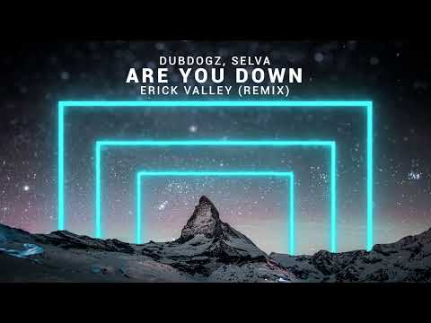 Dubdogz, Selva - Are You Down (Erick Valley Remix) (Visualizer)