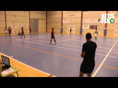 Resumen Floyd-M Villalba FS 2-6 Real Betis FSN