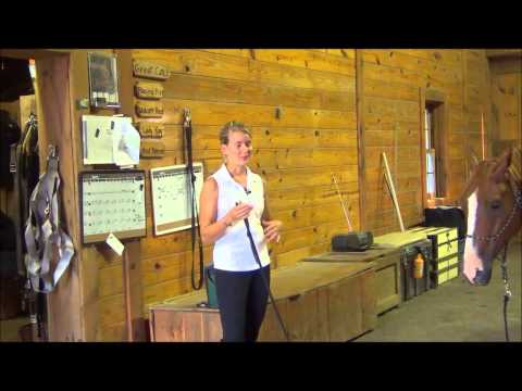 YouTube video about: How to teach a horse to ground tie?