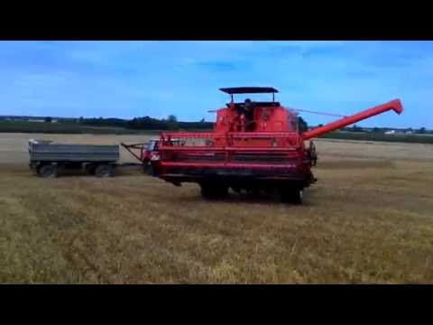 Żniwa 2016 Bizon Z056 Zetor 12011