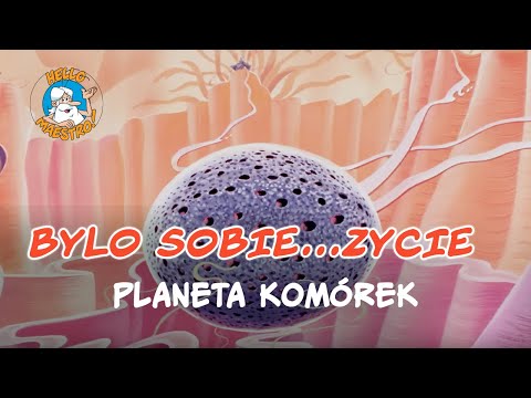 Bylo Sobie... Zycie 🌱- Planeta komórek 🧫