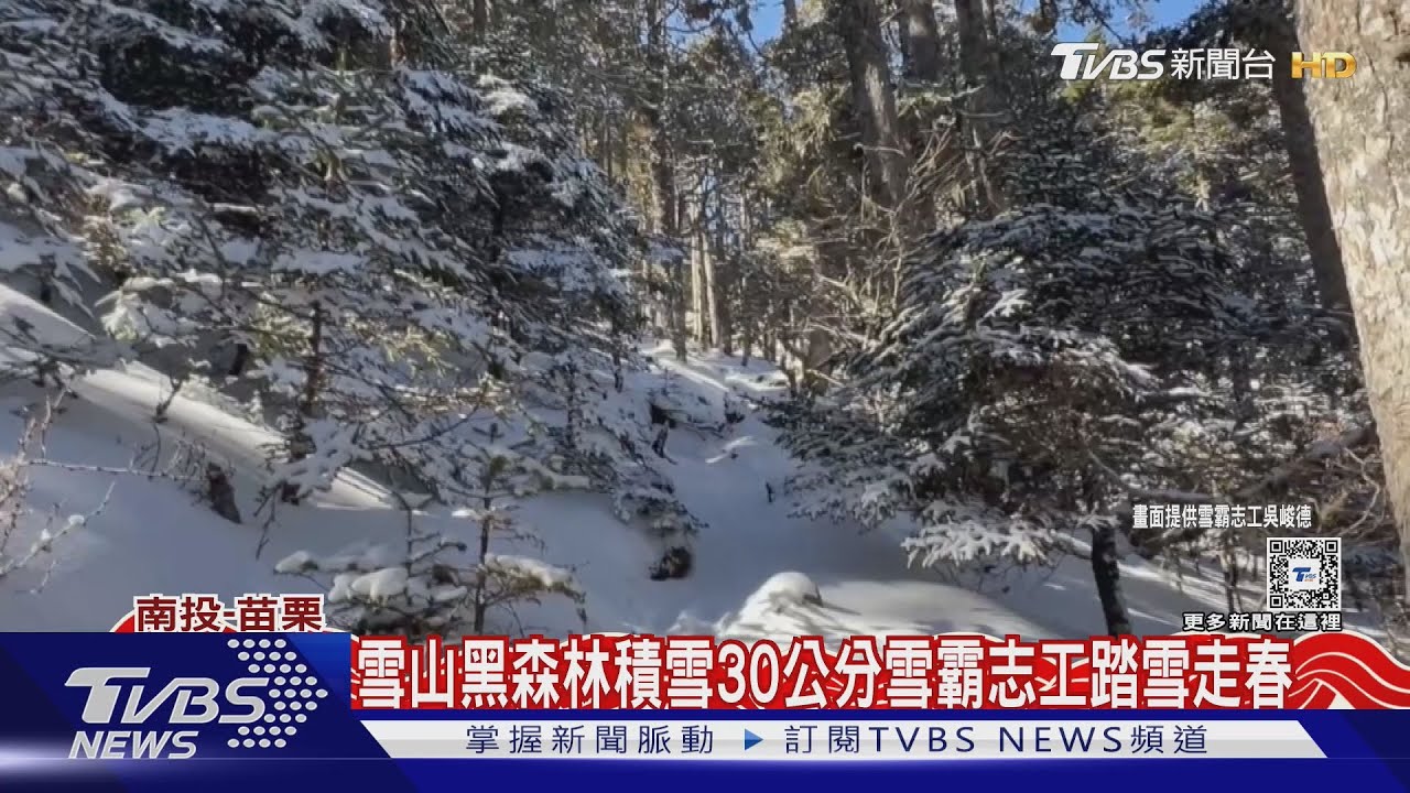 雪山黑森林積雪30公分 雪霸志工踏雪走春