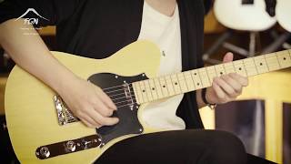 JIL2-ASH-M Iliad J-Standard (2-Tone Sunburst), зображення 1