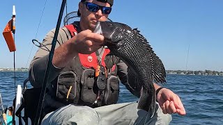 On The Search For New Bottom- Tog Classic Pre-Fishing