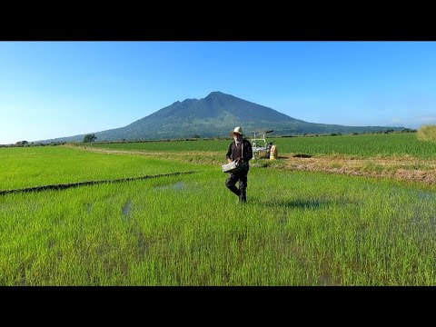 EPS202|P2 ANOTHER PRODUCTIVE DAY PAG ABONO SA PHASE 1