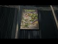 Opening To TMNT 2007 DVD Side A Widescreen