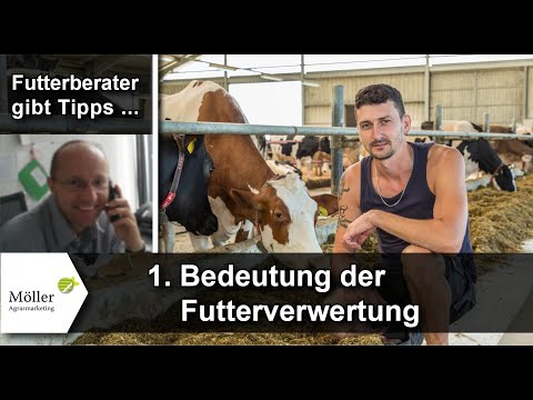 Kühe melken - füttern: Fütterungsberater Christian Treichel über Futtereffizienz bei der Milchkuh!