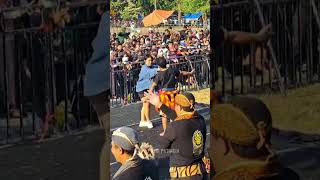 Download lagu Niken Salindry Full Nyawerrrr… Dekengane Pusat jaranan Mayangkoro Original #nikensalindri #mayor mp3