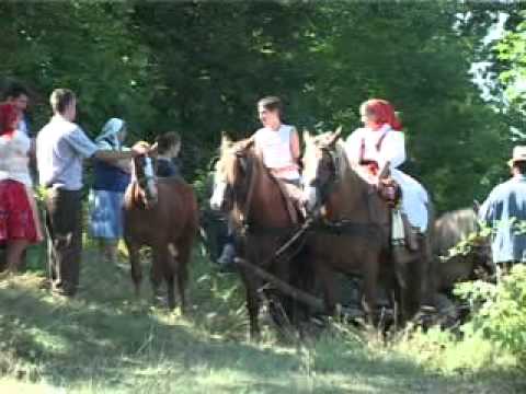 ultimul targ Vasoaia 2008