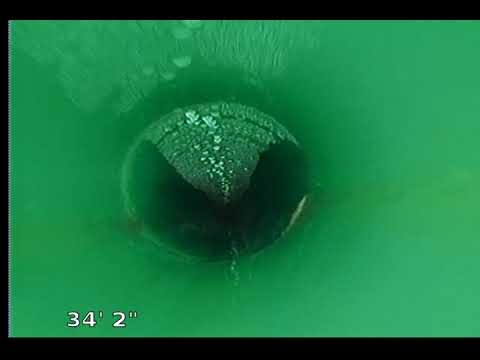 Dobransky 43697 2021 06 28 15 25 55