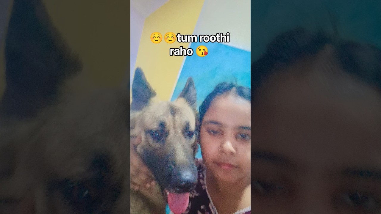 mere dog mere se bhut pyar krta h #shorts #viralvideo #pyar  ​@OfficialrakhiKumari-q7w