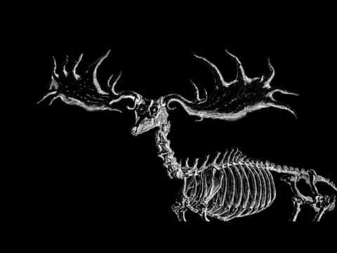 Extinction Project: A Presentation