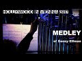 The DANNY ELFMAN Medley Hollywood In Vienna 2017