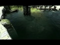 Pure Waters for TES V: Skyrim video 1