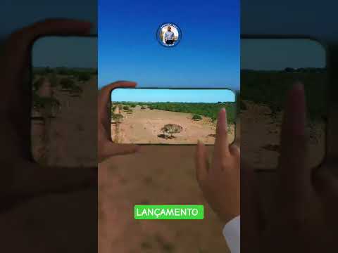 🌿 LANÇAMENTO EXCLUSIVO EM ALEXÂNIA-GO!Chácaras Planas de 2 Hectares