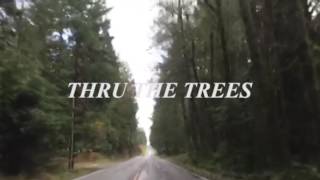 Naomi Punk - Thru The Trees