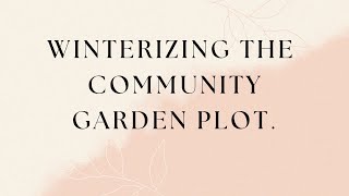 Winterizing our vegetable garden plot at the Fenton community garden. 