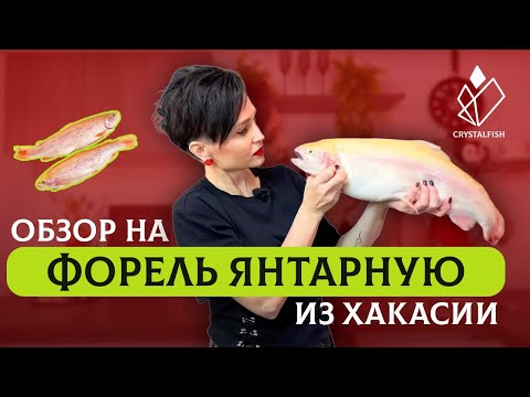 Обзор на форель янтарную из Хакасии