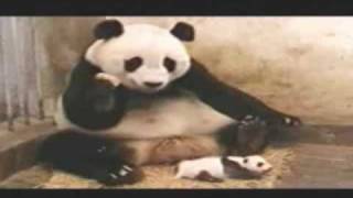 Hank C. Burnette - "Rock-A-Bye Baby"