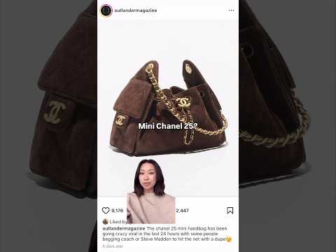 The Chanel 25 Just Got a Little Sister! 👯‍♀️