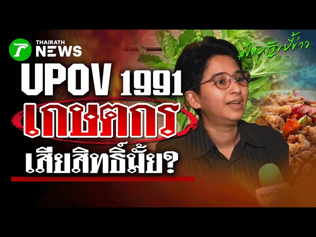 กะเพราไทยจะถูกยึด? เจาะลึก UPOV 1991 กระทบเกษตรกรแค่ไหน | 23 ต.ค. 69 | ไทยรัฐขยี้ข่าว