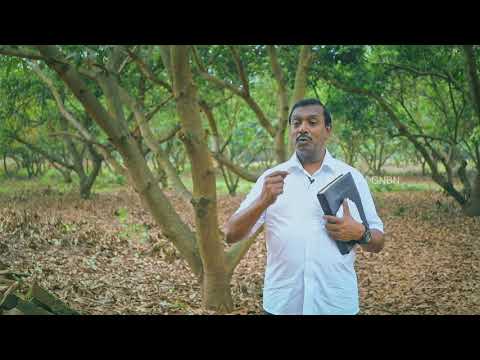 यीशु के साथ चलना | भजन संहिता 124:6 | Bro. Mohan C Lazarus | December 18