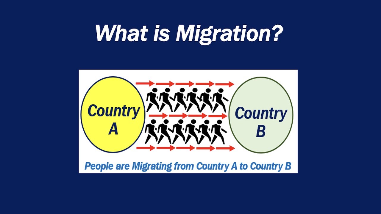 What is Migration?
