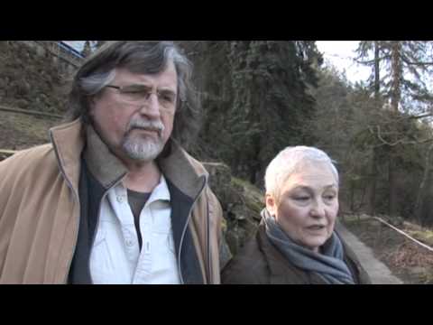 Lázně Kyselka 2015 - odborníci se vyjadřují ke stavu restaurace a Jindřichova dvora