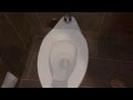 Worlds Loudest Toilet Flush Sound Effect Of Toilet Flushing