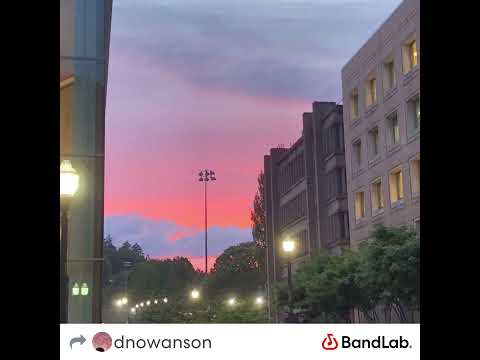 Until it gets better by Li (instrumental link in disc)